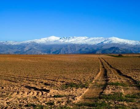 Sierra Nevada 2