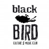 Santander - Black Bird